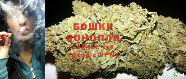 молекула духа Волосово
