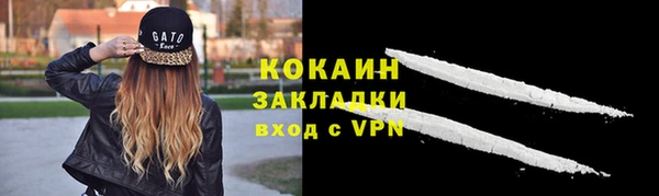 молекула духа Волосово