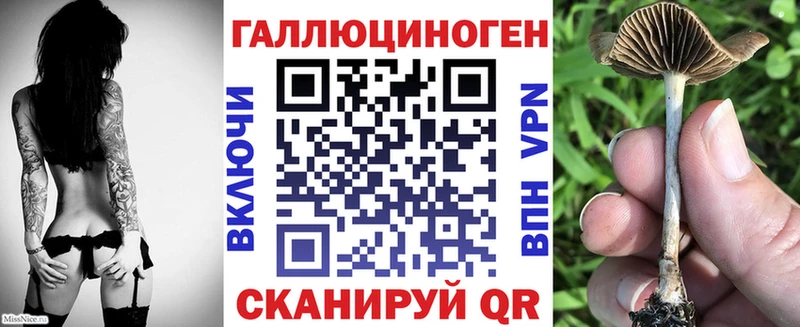 сколько стоит  Нефтеюганск  Галлюциногенные грибы Psilocybe 